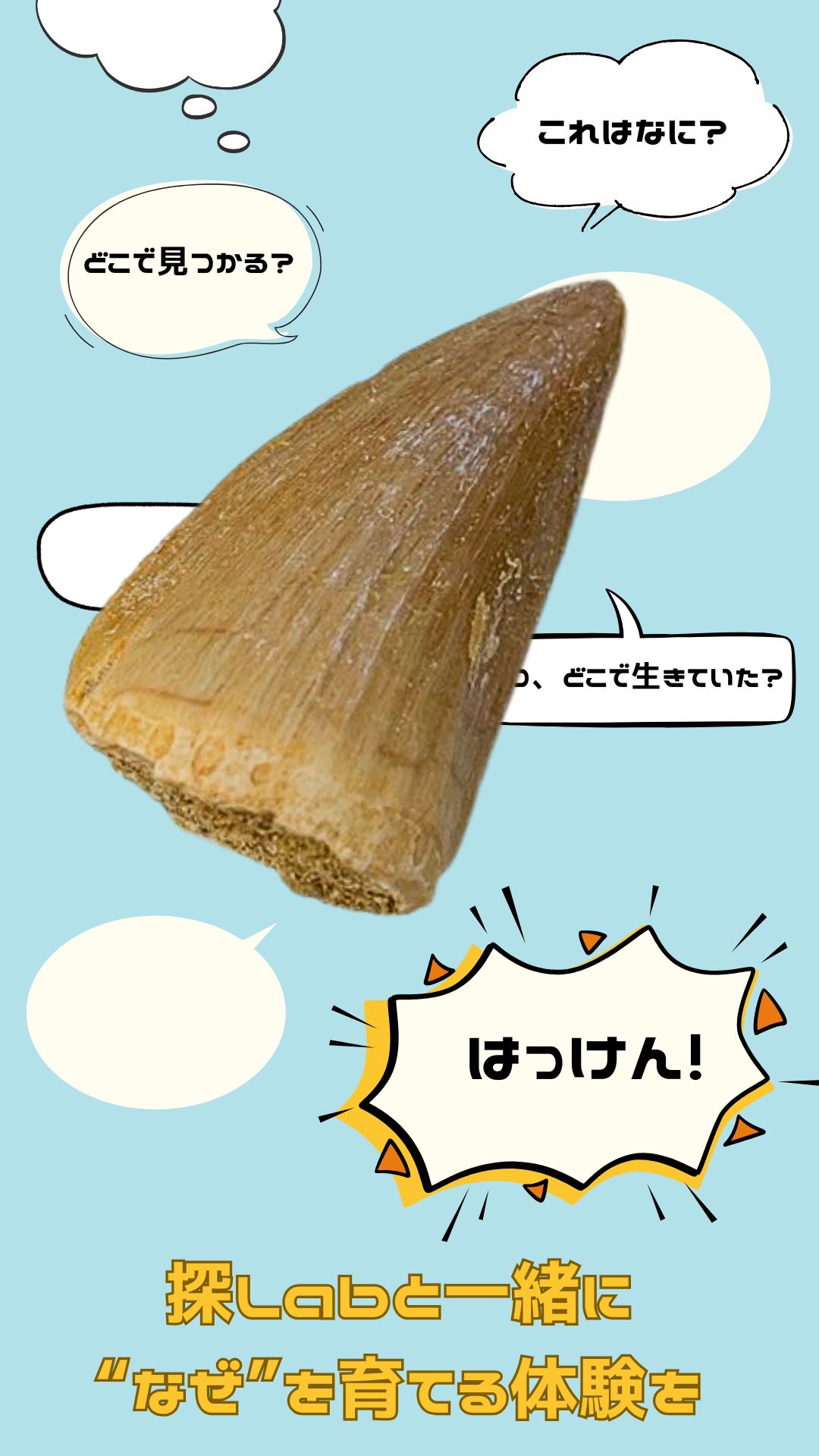 オンラインSHOP