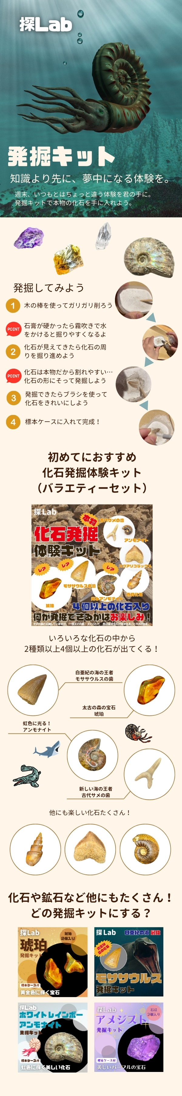 発掘キット特設