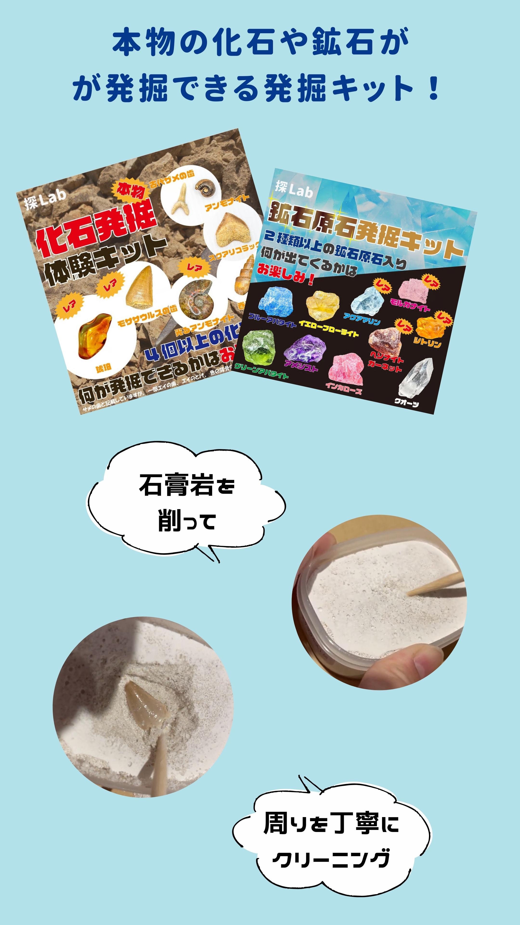 発掘キット