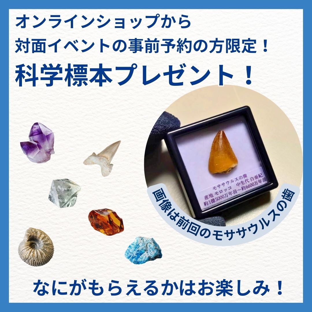 予約でプレゼント